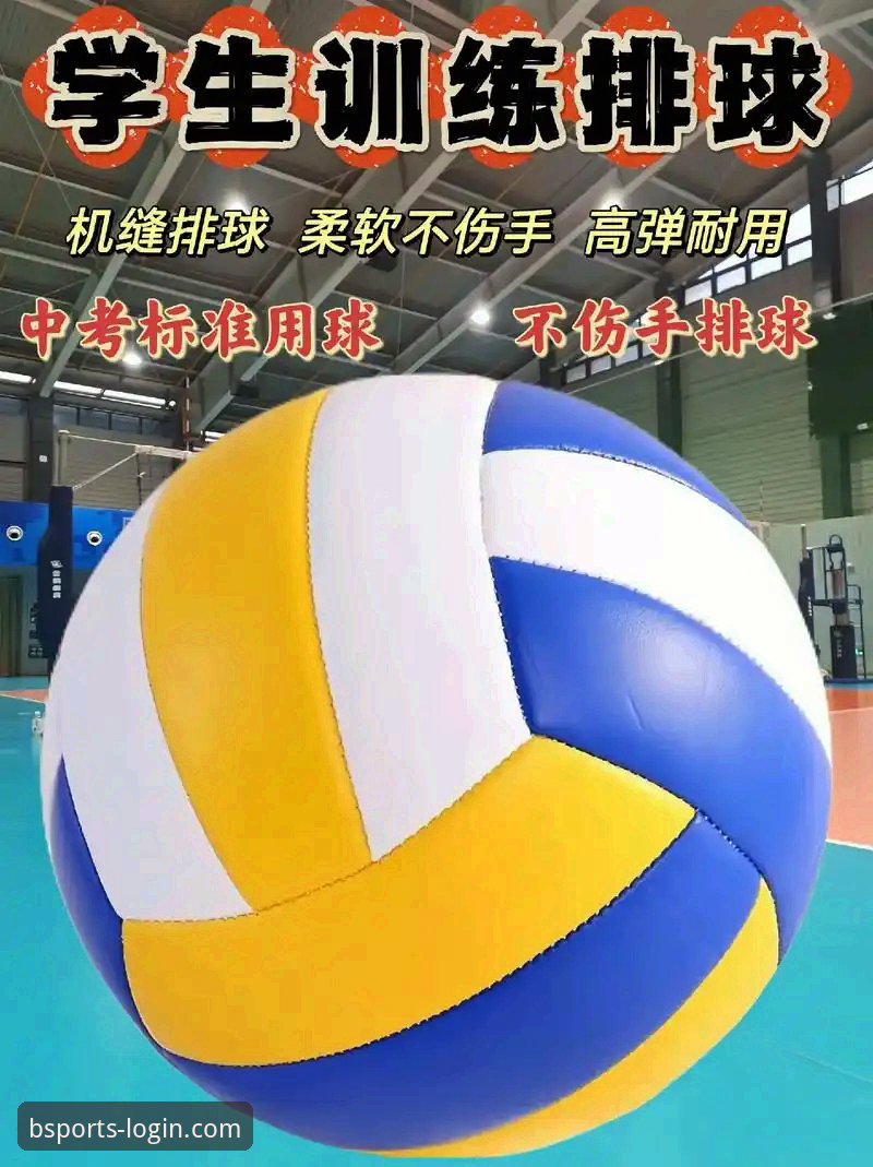 b体育平台功能体验最新动态：从技术角度深度解析v2.1.3版本的真实表现