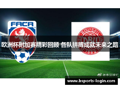 欧洲杯附加赛精彩回顾 各队拼搏成就未来之路