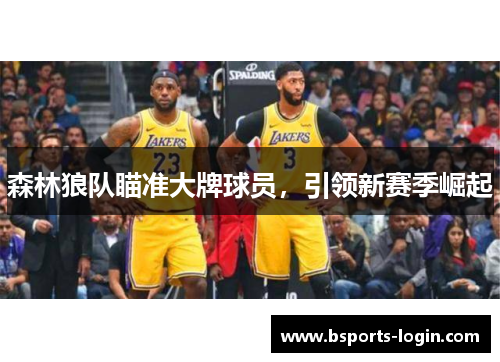 森林狼队瞄准大牌球员，引领新赛季崛起